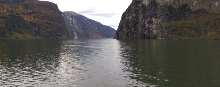 View of Naeroyfjord
