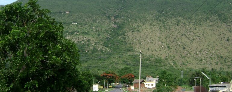 Road to Yelagiri hills