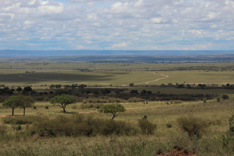 Masai Mara landscape, Kenya