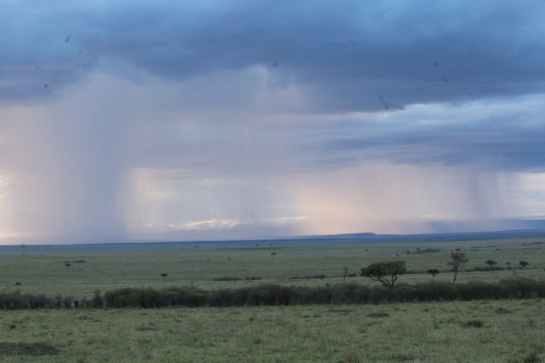 Masai Mara, Kenya