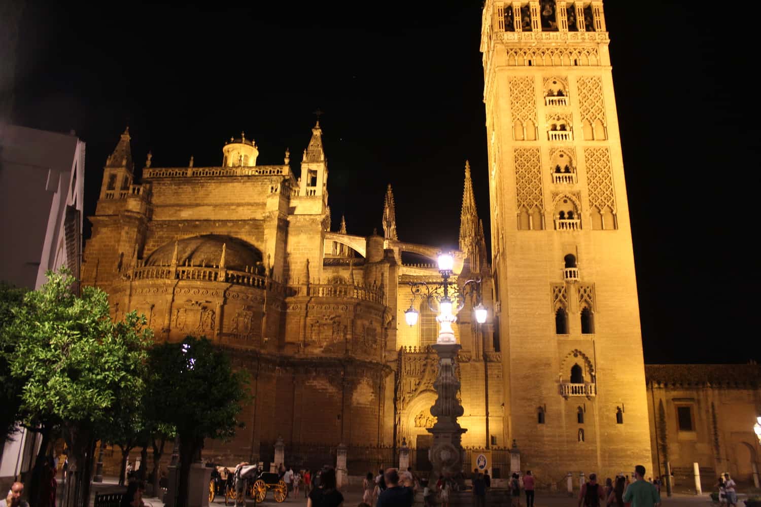 Cathedral and Bell tower at night, Seville, Spain
