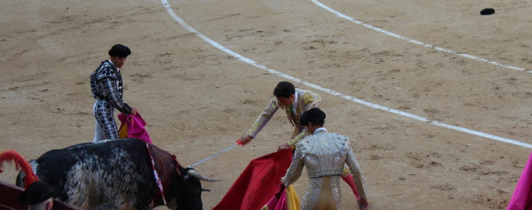 The bull in the process of being killed, Madrid, Spain