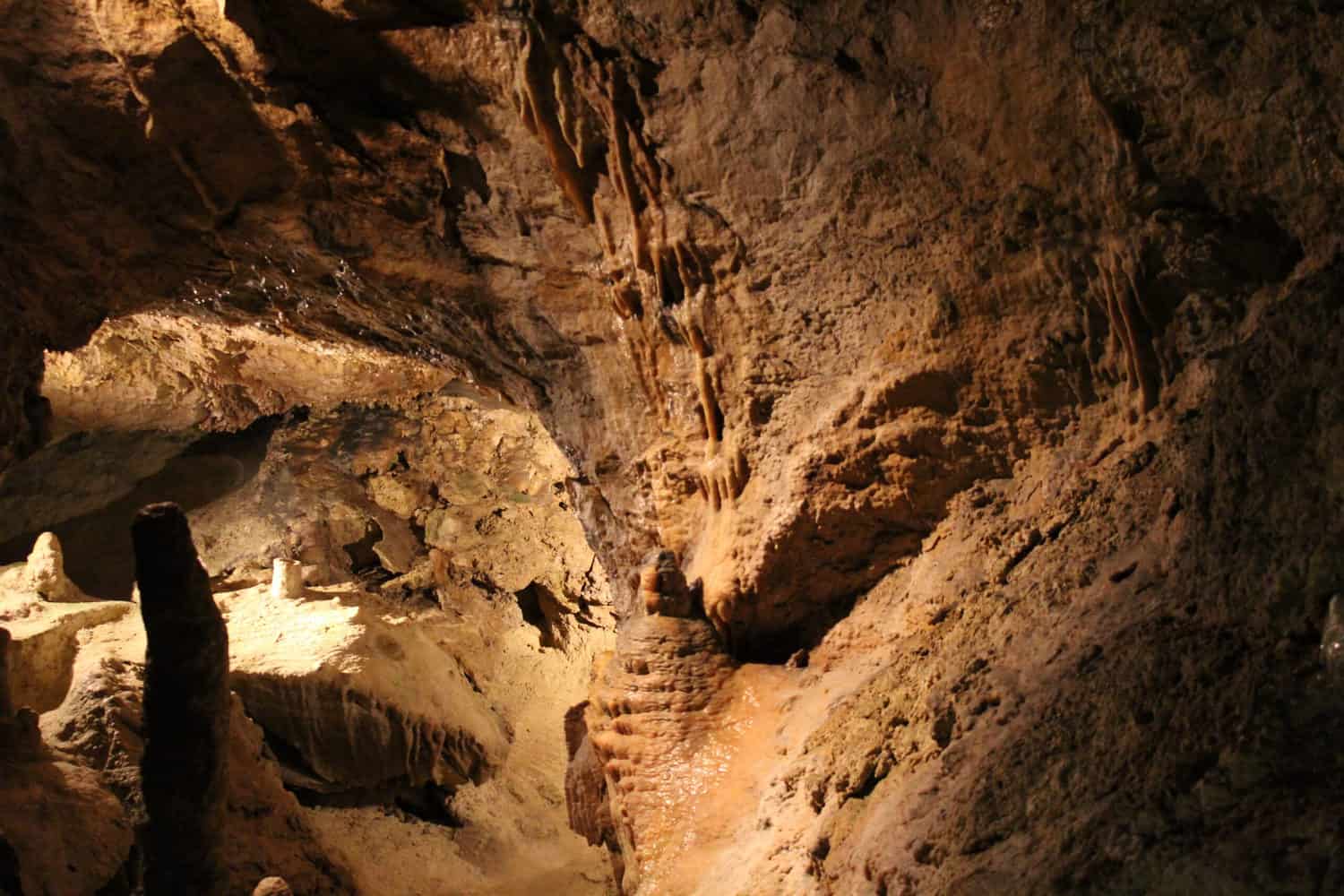 Palvolgyi caves, Budapest
