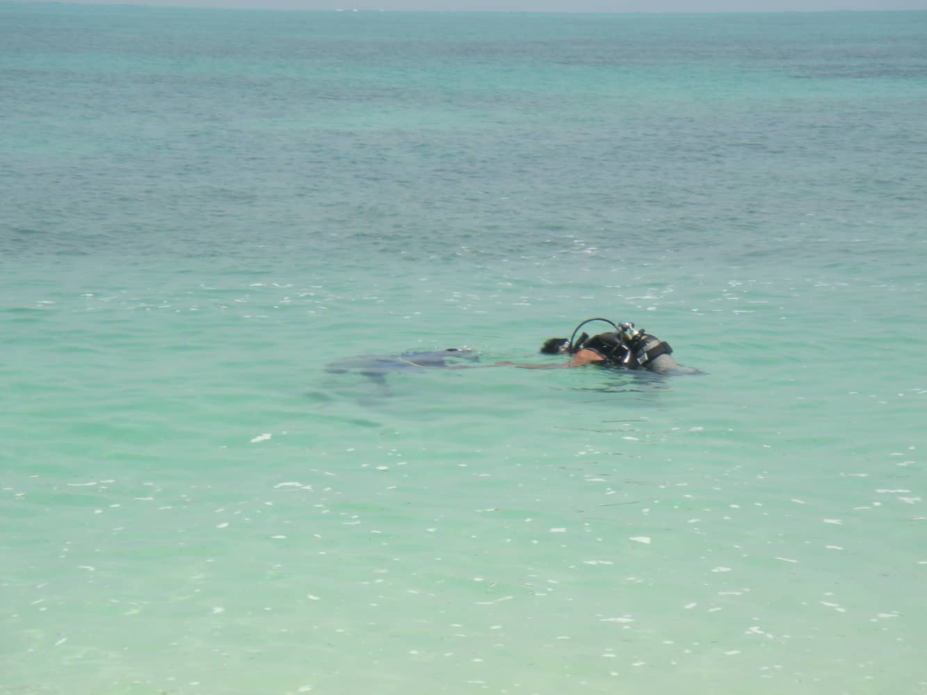 Getting under water, Lakshadweep, India