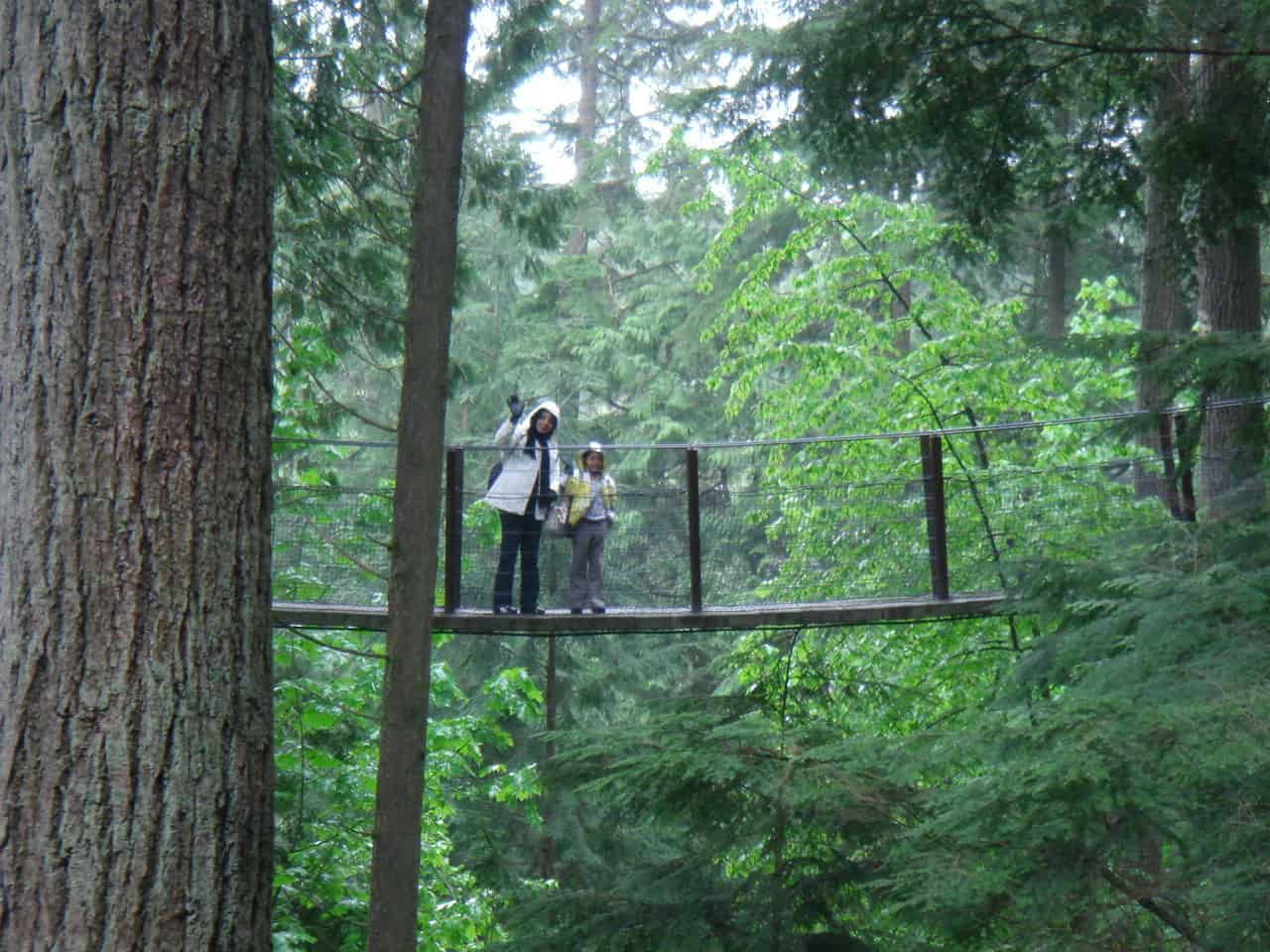 Treeetop trail, Vancouver, Canada