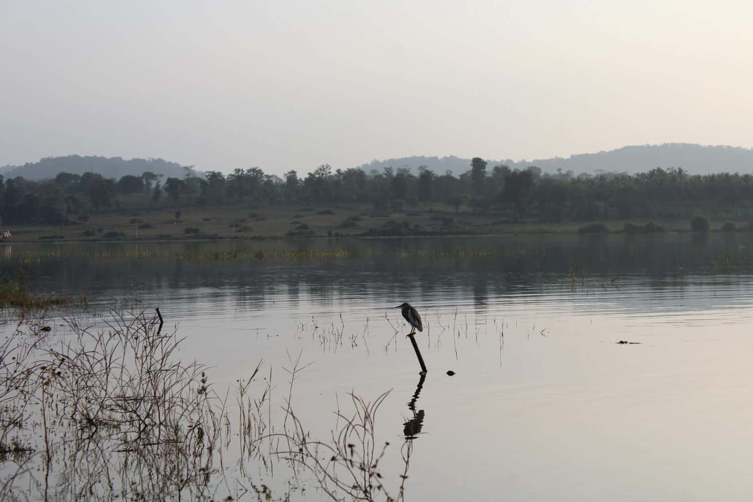 Kabini river, Karnataka