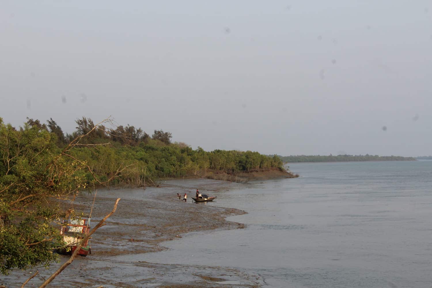 Locals looking for crabs, Sundarbans, West Bengal