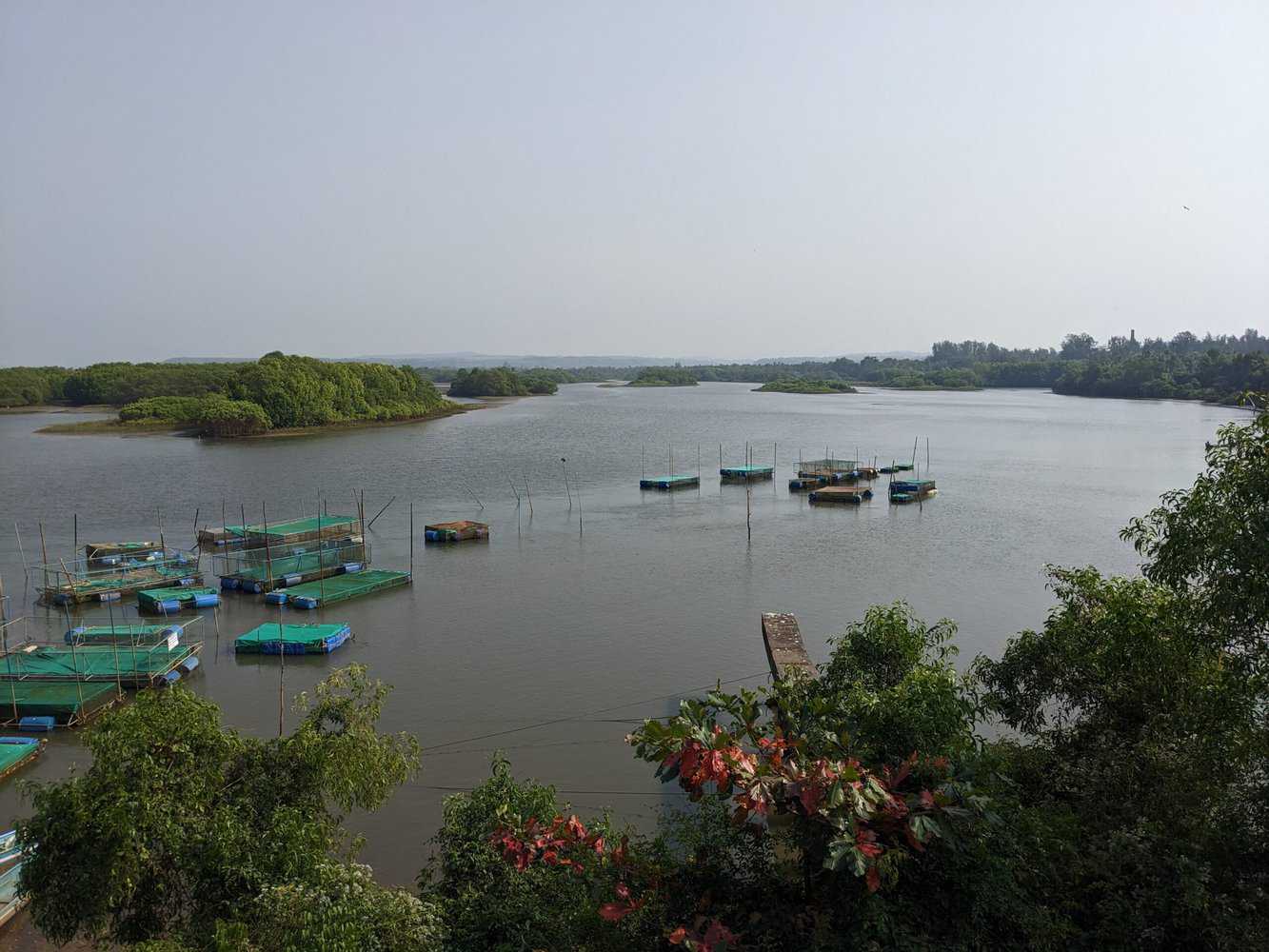 View from Sharavathy river bridge, Honnavar, Karnataka