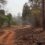 Tadoba-Andhari Tiger Reserve