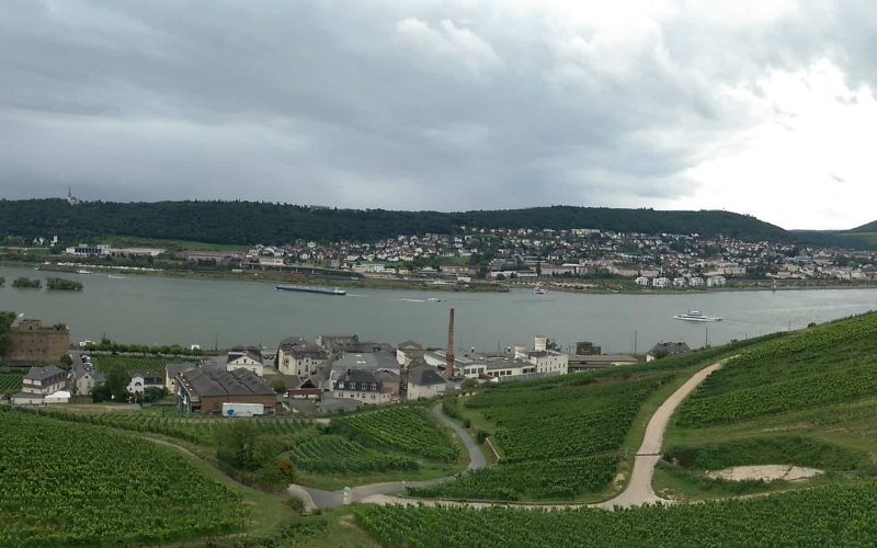View of Rudesheim, Rhine river and vineyards from cable car