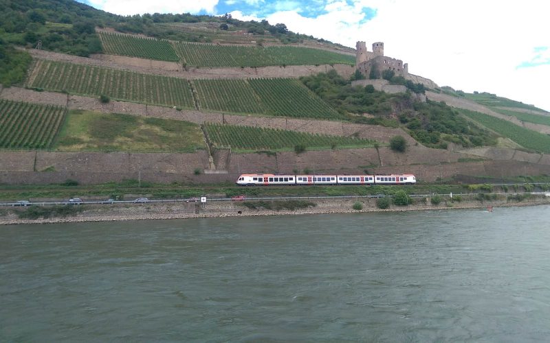 View from Rhine cruise